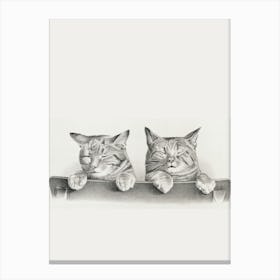 Two Cats Sleeping Canvas Print