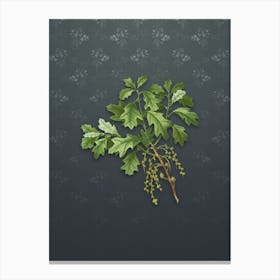 Vintage Bear Oak Botanical on Slate Gray Pattern n.0681 Canvas Print