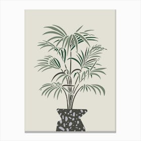 Indoor Pot Palm Canvas Print