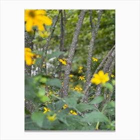 Hudson forest Canvas Print