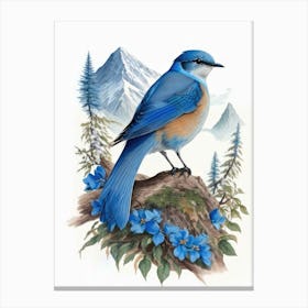 Mountain Bluebird 3 Canvas Print
