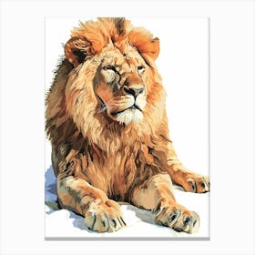 Barbary Lion Resting In The Sun Clipart 2 Canvas Print