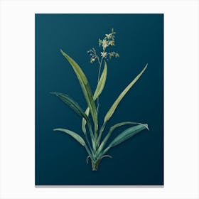 Vintage Flax Lilies Botanical Art on Teal Blue n.0264 Canvas Print