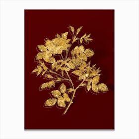 Vintage Malmedy Rose Botanical in Gold on Red n.0274 Canvas Print