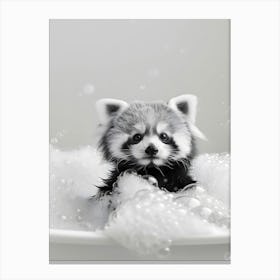 Red Panda In The Bath Canvas Print