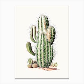 Notocactus Cactus Marker Art 1 Canvas Print