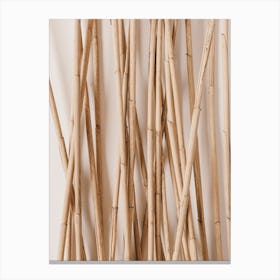 Wooden Reeds Canvas Print