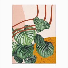 Abstract Shapes Calathea Orbifolia Plant Canvas Print