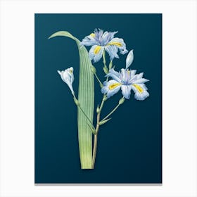 Vintage Butterfly Flower Iris Fimbriata Botanical Art on Teal Blue n.0311 Canvas Print