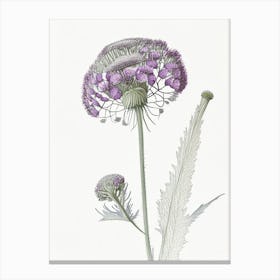 Scabiosa Floral Quentin Blake Inspired Illustration Flower Canvas Print