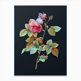 Vintage Pink Bourbon Roses Botanical Watercolor Illustration on Dark Teal Blue n.0793 Canvas Print