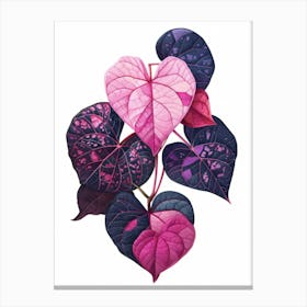 Heart Shaped Leaves 3 Canvas Print