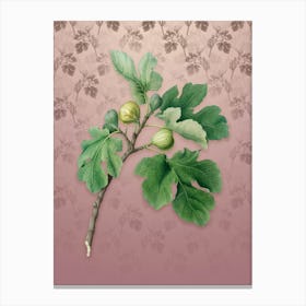 Vintage Fig Botanical on Dusty Pink Pattern Canvas Print