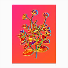 Neon Blue Marguerite Plant Botanical in Hot Pink and Electric Blue n.0298 Canvas Print