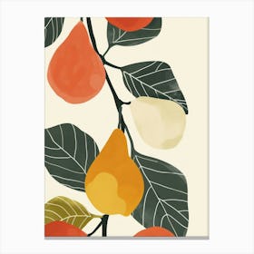 Figs Close Up Illustration 4 Canvas Print