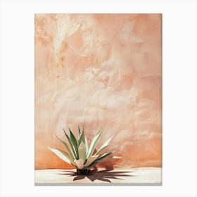 Agave 5 Canvas Print