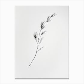 Leaf In The Wind Canvas Print