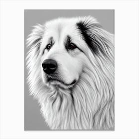 Belgian Sheepdog B&W Pencil dog Canvas Print