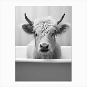 Cow In A Bathtub Canvas Print