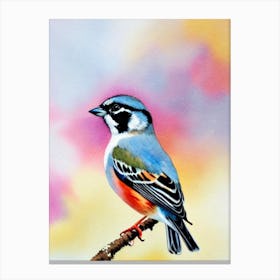 Sparrow 2 Watercolour Bird Canvas Print