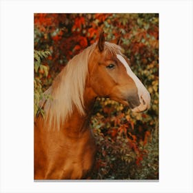 Horse Fall Colors Canvas Print
