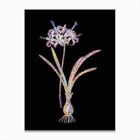 Stained Glass Guernsey Lily Mosaic Botanical Illustration on Black n.0004 Canvas Print