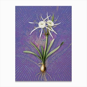 Vintage Streambank Spiderlily Botanical Illustration on Veri Peri n.0627 Canvas Print