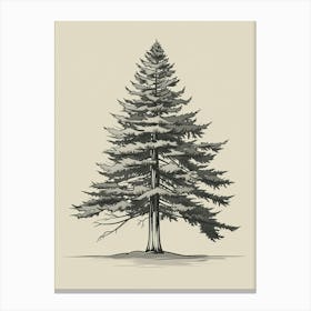Cedar Tree Minimalistic Drawing 2 Canvas Print