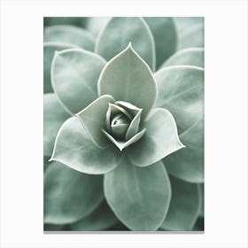 Succulent Flower Canvas Print