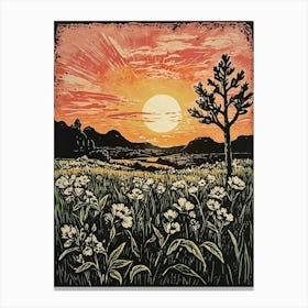 Sunset In The Field 1 Canvas Print