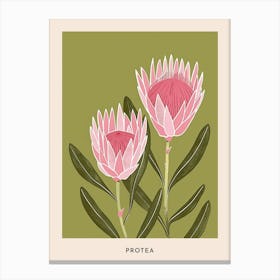 Pink & Green Protea 3 Flower Poster Canvas Print
