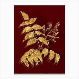 Vintage Tree of Heaven Botanical in Gold on Red n.0578 Canvas Print
