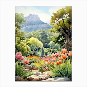 Kirstenbosch Botanical Garden South Africa Watercolour 1 Canvas Print