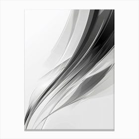 Abstract Black And White Background Canvas Print