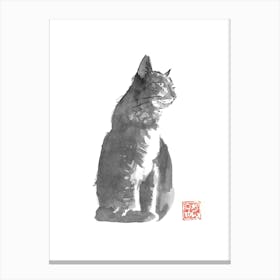 Grey Cat Canvas Print