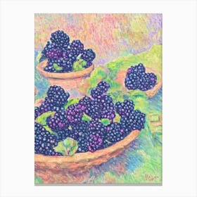 Blackberry Vintage Sketch Fruit Canvas Print