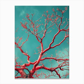 Red Tree Against Blue Sky 7 Canvas Print