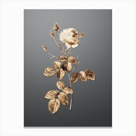 Gold Botanical Provence Rose on Soft Gray n.2510 Canvas Print