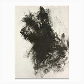 Briard Dog Charcoal Line 1 Canvas Print