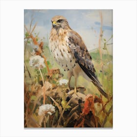 Bird Painting Eurasian Sparrowhawk 1 Canvas Print