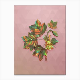 Vintage Tulip Tree Botanical Art on Crystal Rose n.0135 Canvas Print