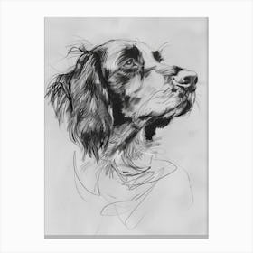 English Springer Spaniel Dog Charcoal Line 2 Canvas Print