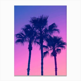 Sunset Palm Trees 3 Canvas Print