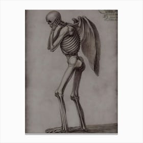 Skeleton With Wings Canvas Print