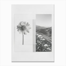 Marigold Flower Photo Collage 2 Canvas Print