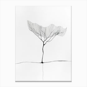 Lone Tree 2 Canvas Print