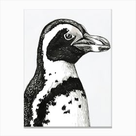 African Penguin Staring Curiously 4 Canvas Print