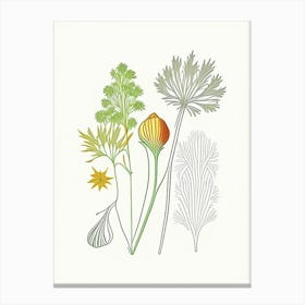 Celery Seeds Spices And Herbs Minimal Line Drawing 3 Canvas Print