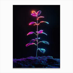 Neon Plant In The Dark 6 Canvas Print