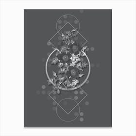 Vintage Thornless Burnet Rose Botanical with Line Motif and Dot Pattern in Ghost Gray Canvas Print